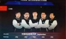 艾利沙最新爆料新闻视频,揭秘娱乐圈惊人内幕！